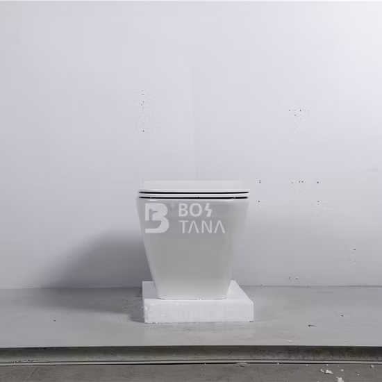 Toilettes suspendues de Style moderne, toilettes suspendues sur le marché de l'ue, salle de bains en céramique sans rebord, toilettes suspendues