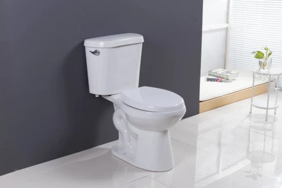 Sanitaire Salle De Bains Réservoir Siphon Wc Toilette Blanco Inodoro