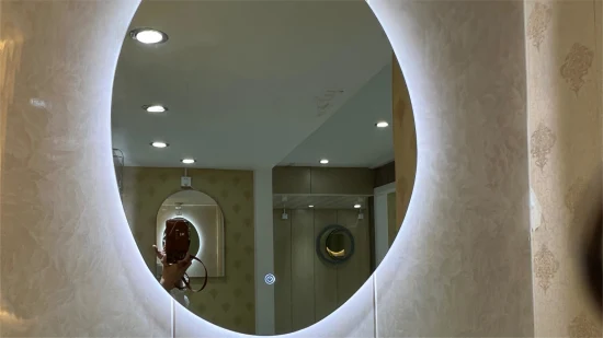 prix d'usine de forme irrégulière miroir en aluminium décoratif bain de verre miroir de maquillage
